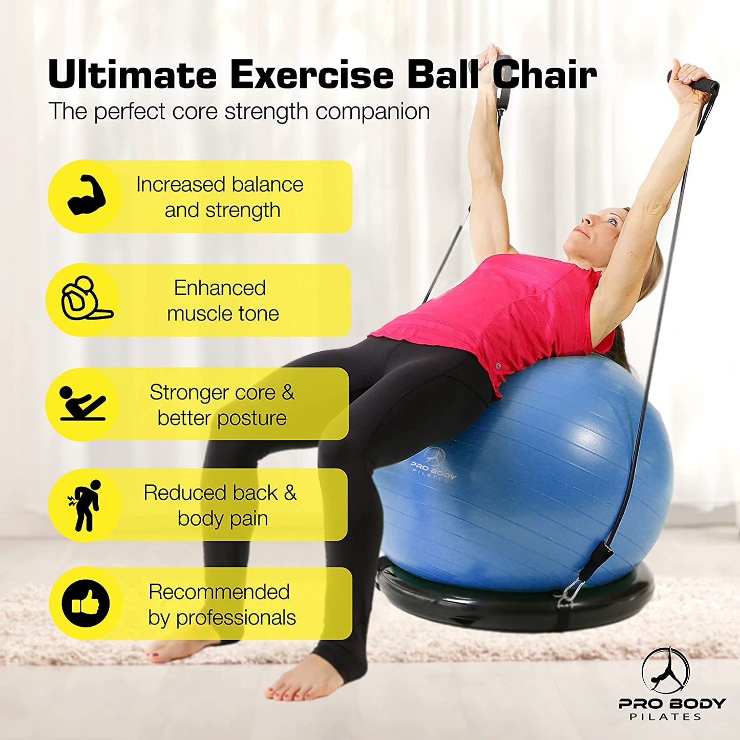 Exercise Ball Chair with Base & Bands